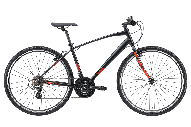 Terros 28.3 V (2024)